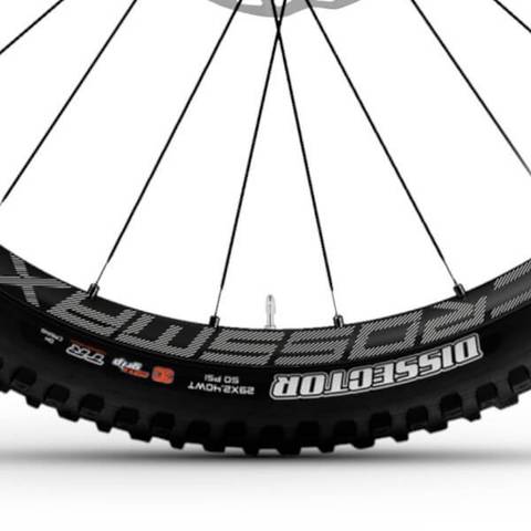 Haibike Lyke CF 11 2024 Maxxis Dissector Tyre