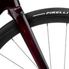 Orbea Gain M30 2025 Carbon OMR Fork